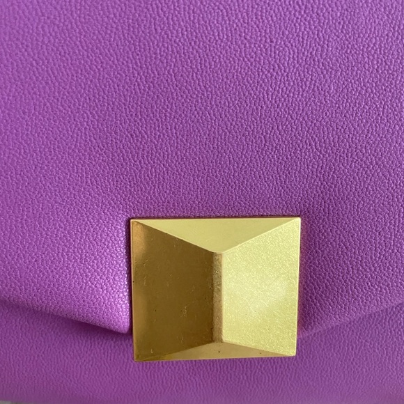 Host Pick! 💖 🎊 Mango Chain Mini Shoulder Bag - Picture 5 of 8